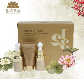 歐美雅潔果蔬美容養(yǎng)生館 中西結(jié)合開發(fā)而成